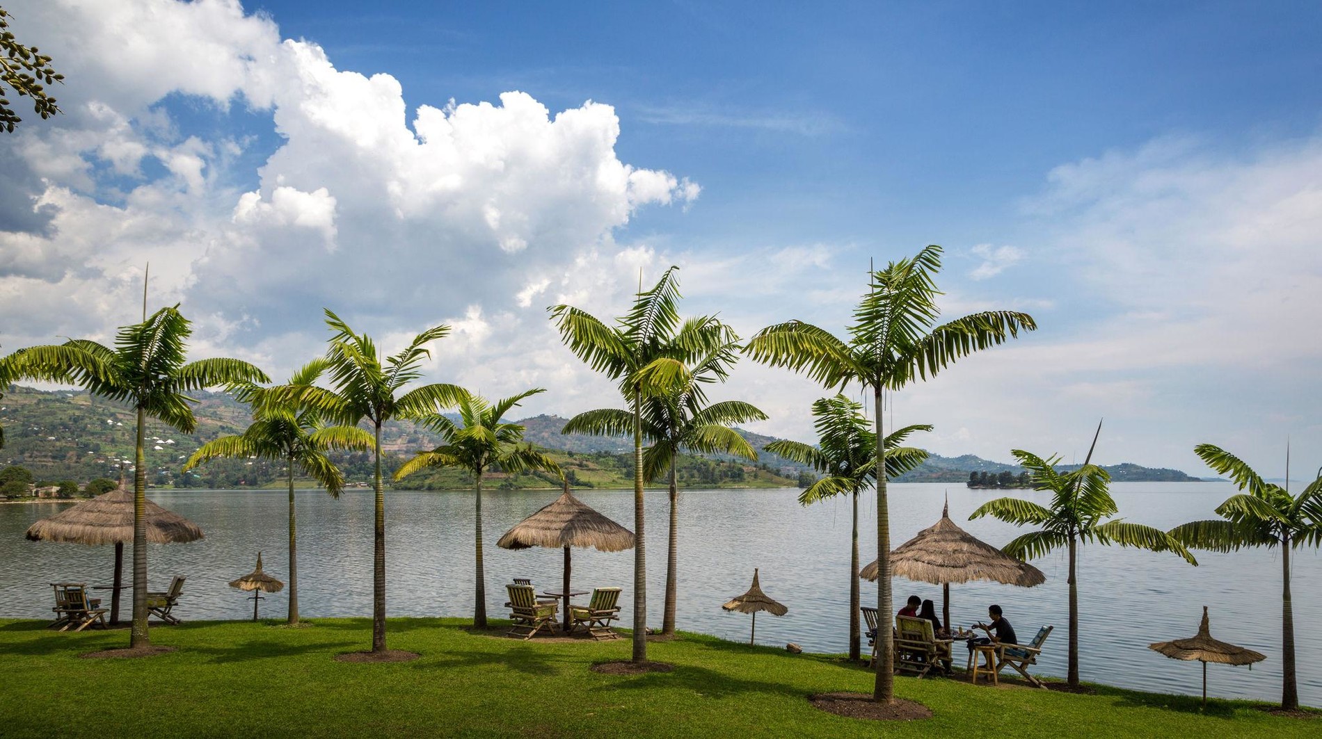 tea plantation in Rwanda,cultural village,kivu lake,boat trip,kigali city