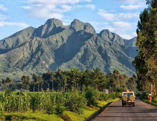 10 Compelling Reasons to Choose Rwanda for Your Next Trip